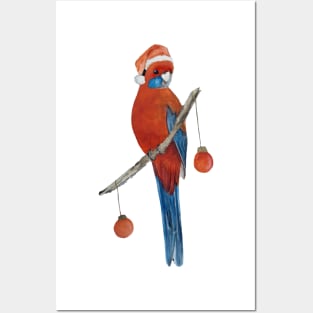 Watercolour Christmas Crimson Rosella in a Santa Hat Posters and Art